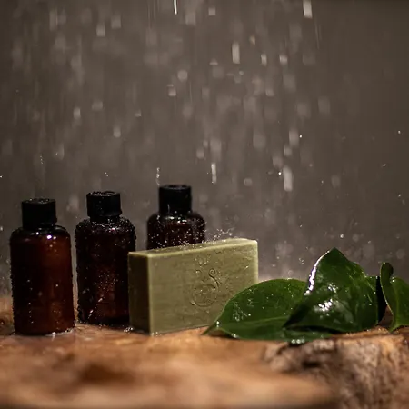 Hotel Seesoo Paros Beachfront (adults Only)