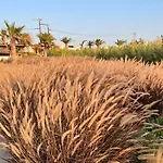 Seesoo Paros Beachfront Luxury Hideaway (adults Only) Ξενοδοχείο