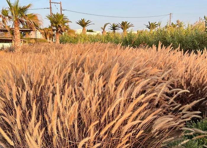 Seesoo Paros Beachfront Luxury Hideaway (adults Only) Hotel